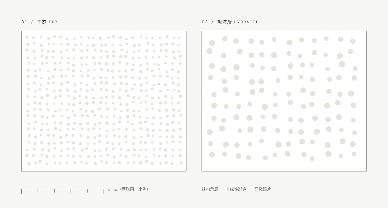 水丝绵孔隙结构示意：左侧干态孔径小、壁厚，右侧吸液后孔径扩大、壁变薄